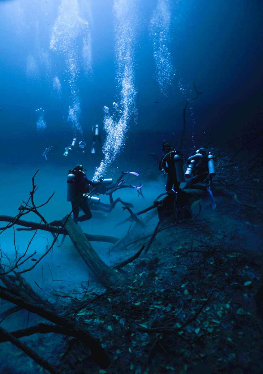 Five scuba divers getting ready to go cave diving in a cenote.