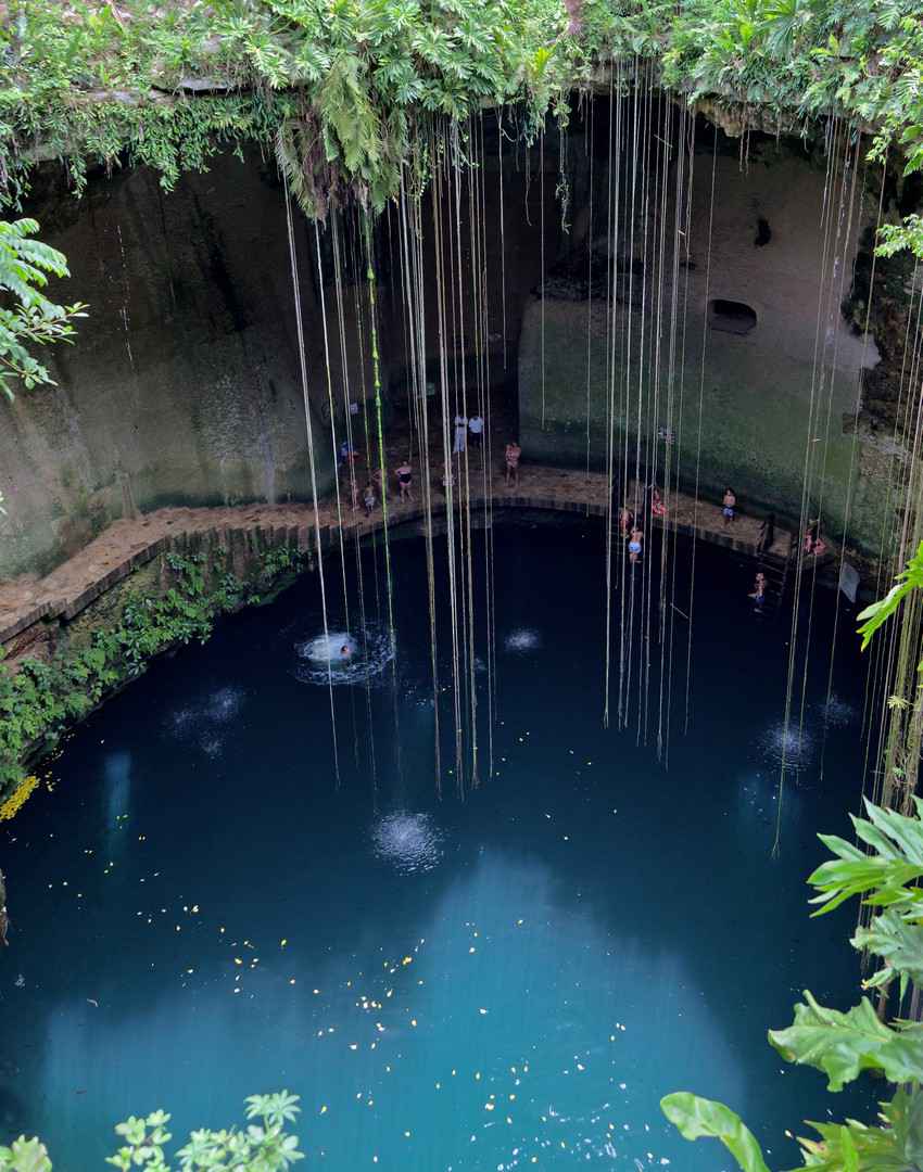 This is what you will see if you are looking into a cenote from the top.