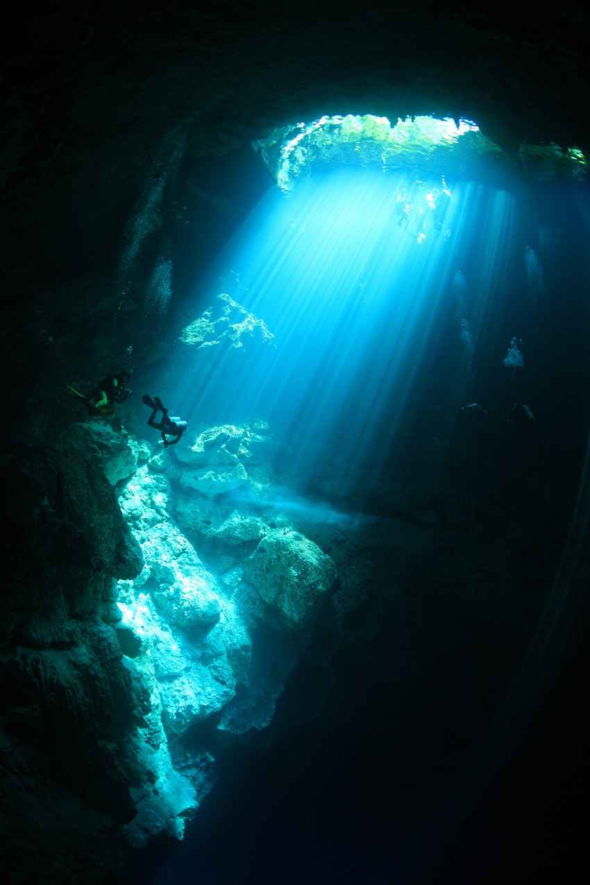 A group of several scuba divers exploring a cenote.