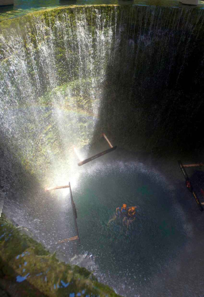 Water falling from the top sides of the ground into a cenote.