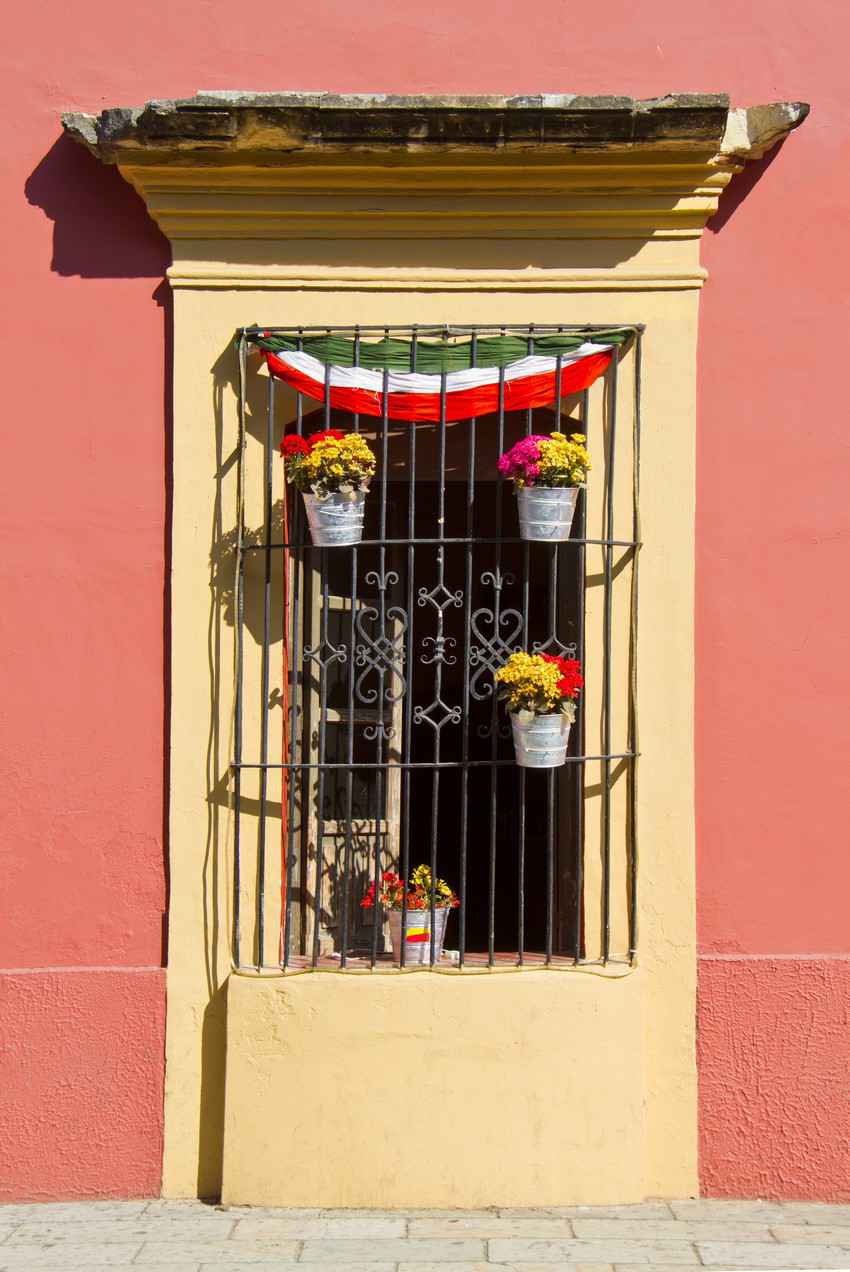 A picture that shows the window protection bars that are common in Playa Del Carmen.