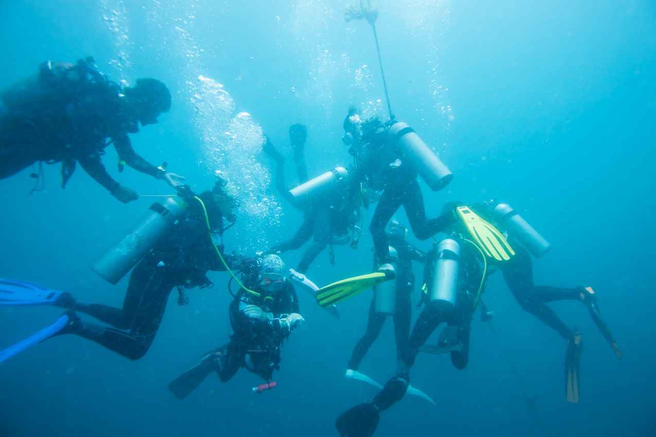 A group of scuba divers diving near Cozumel.