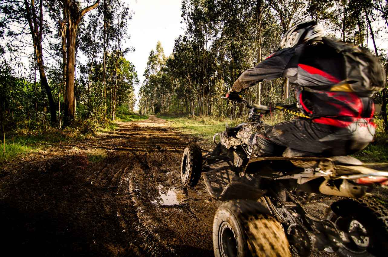 A man riding an ATV on a muddy jungle trail.