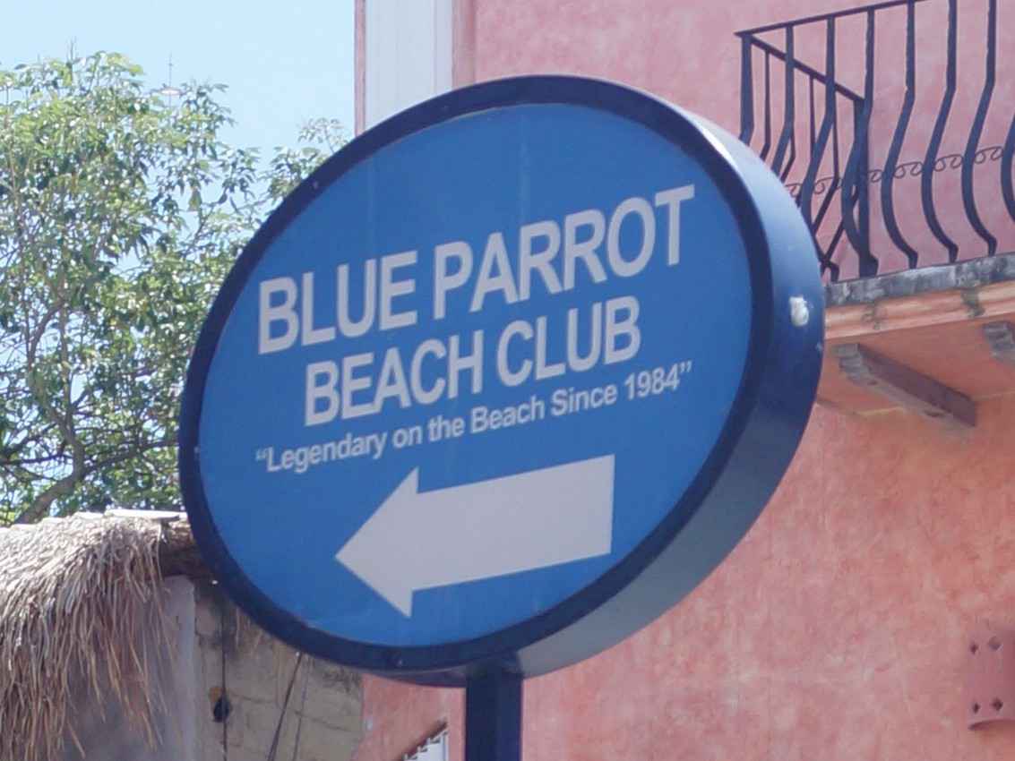 The Blue Parrot Beach Club sign.