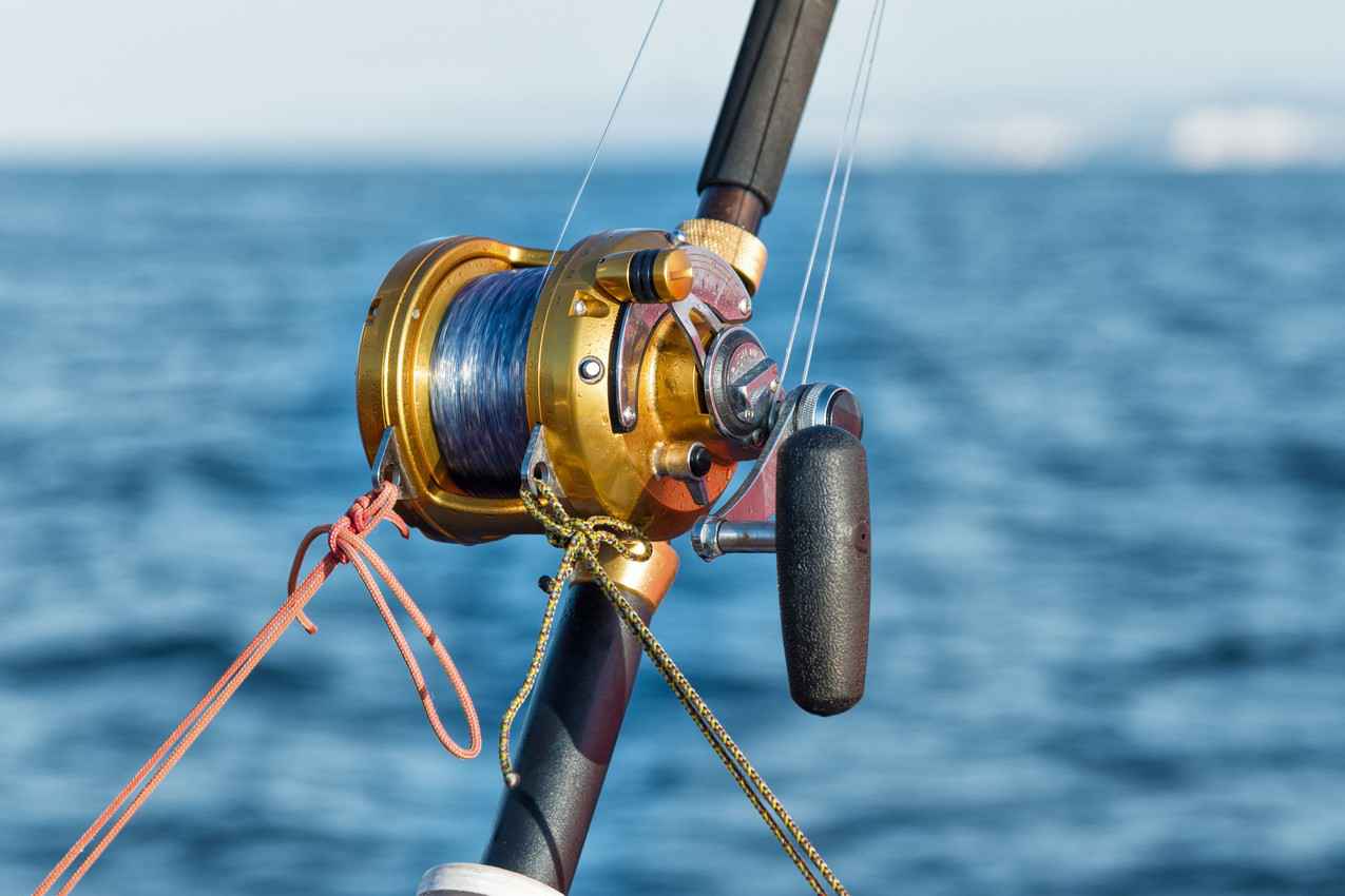 A fishing pole with a reel with the ocean in the background.