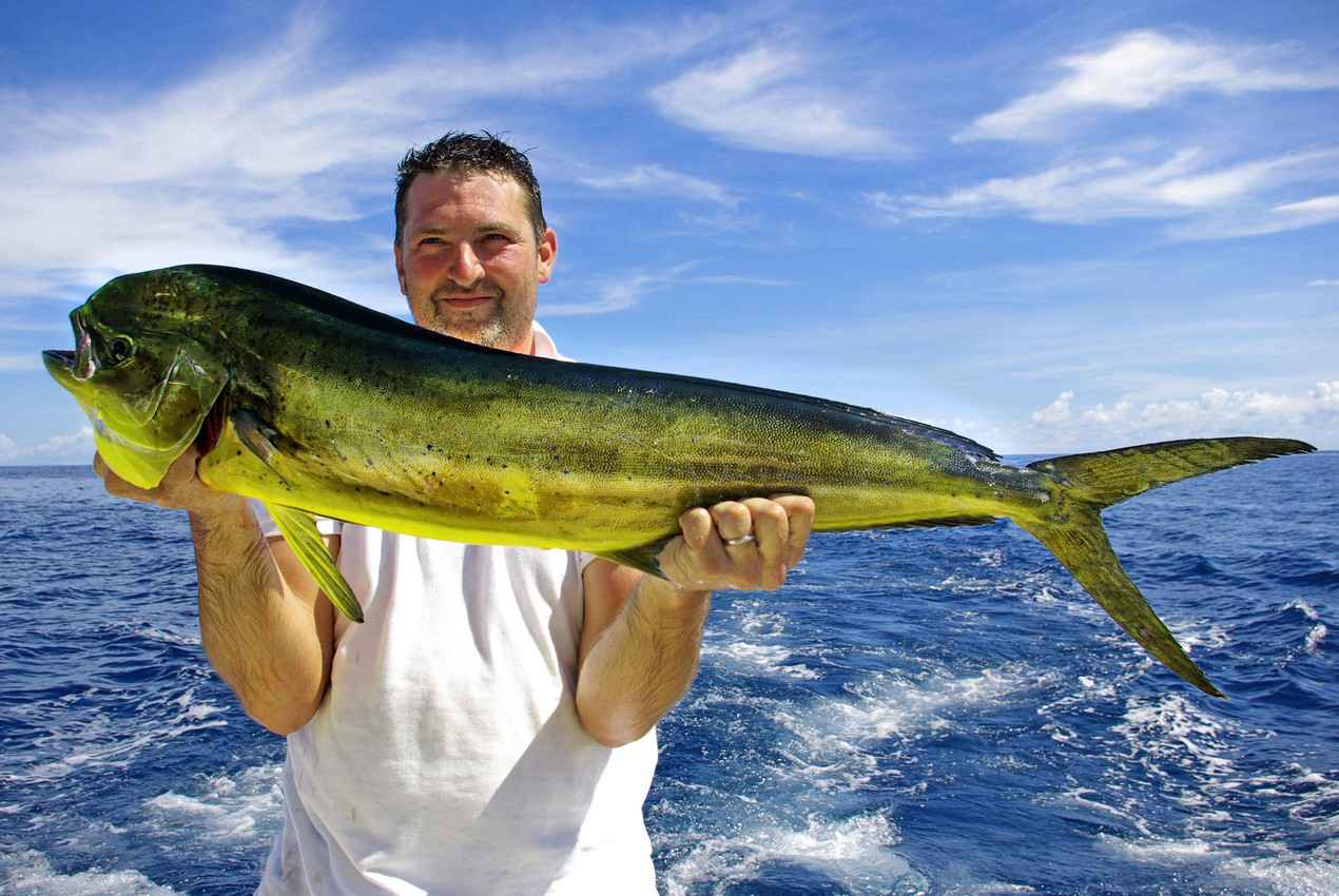 A man holding up a Dorado fish he caught.