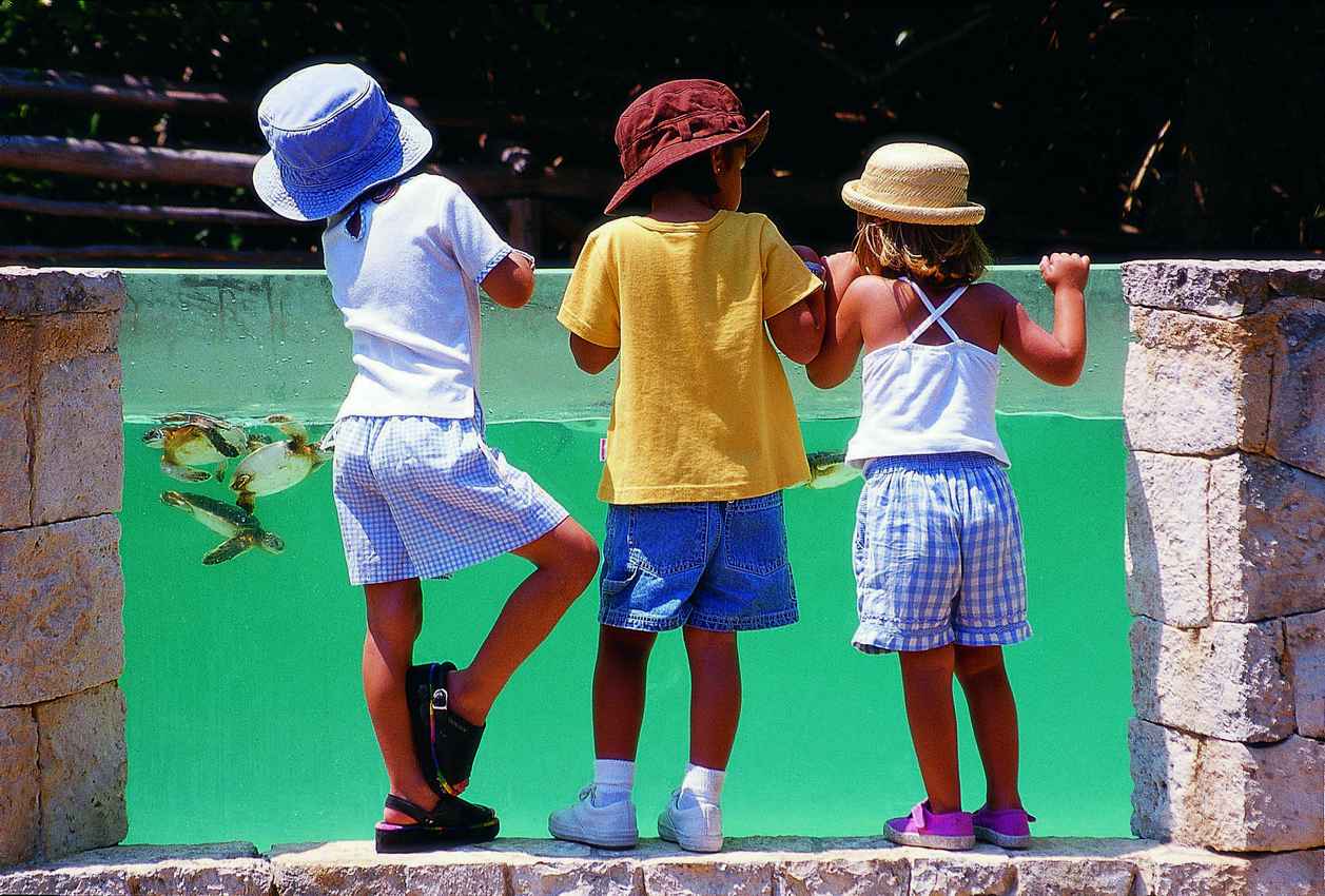 Three children watching baby turtles at a theme park.