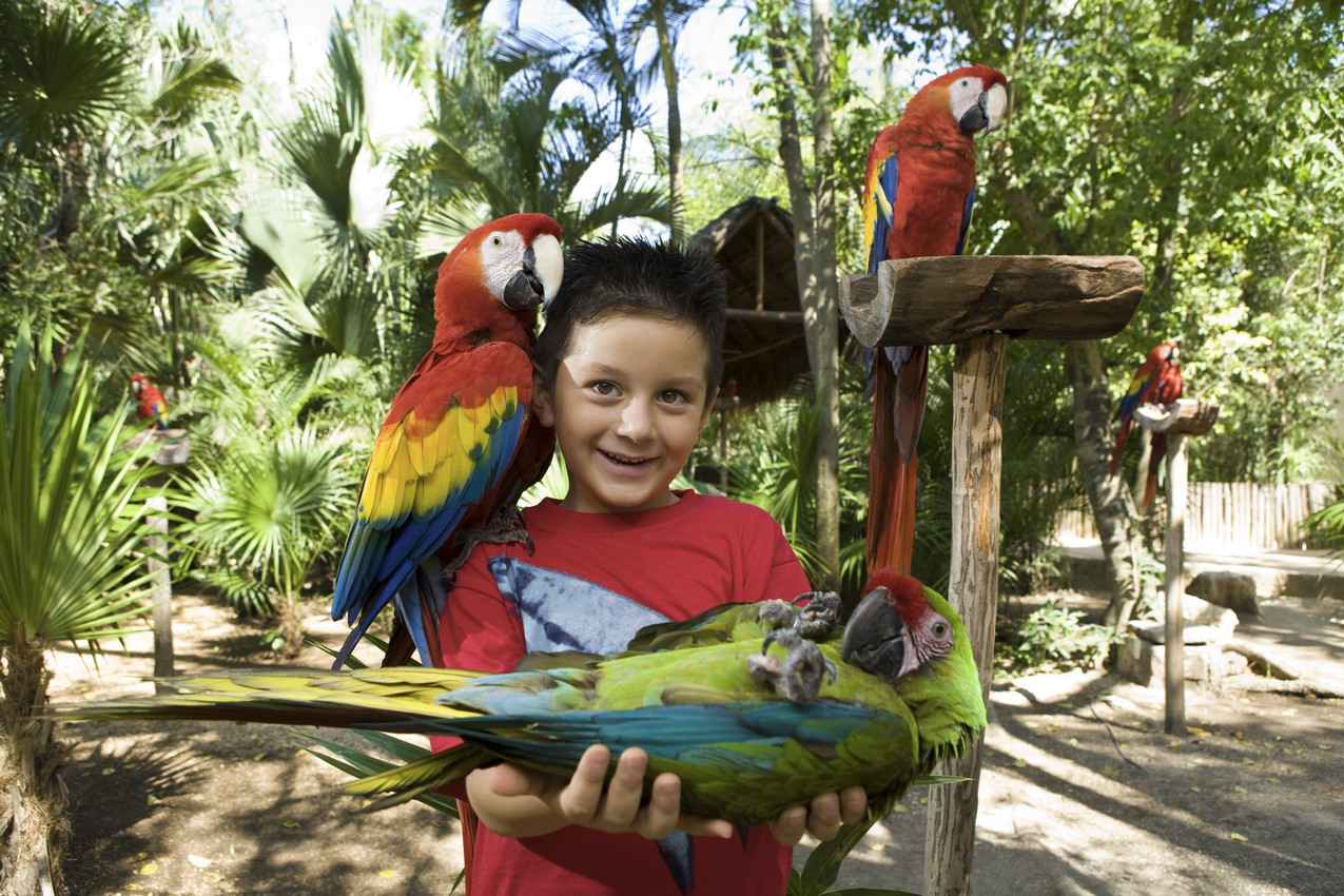 A young boy holding a parrot in his hands.