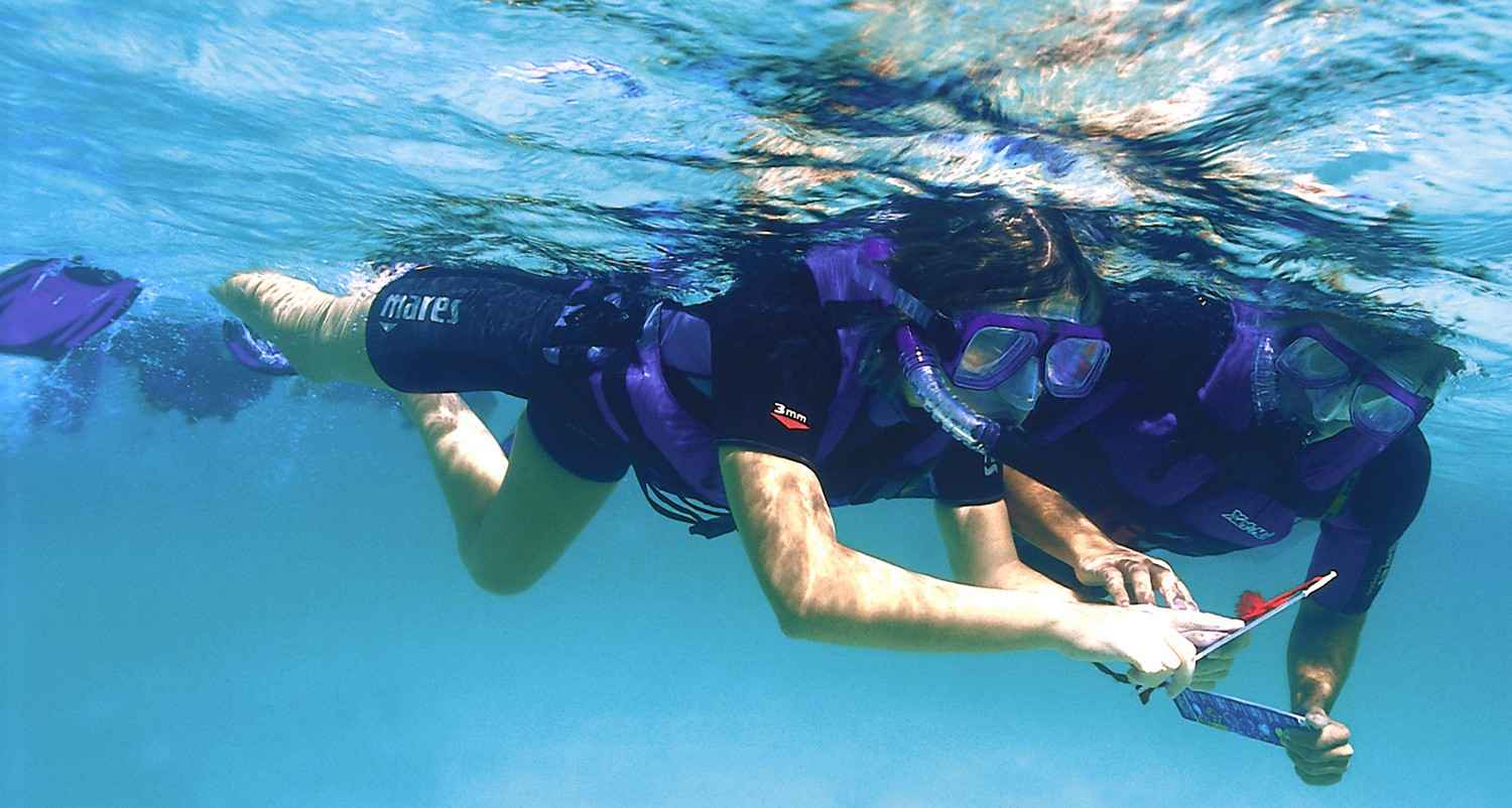 Several people are snorkeling and using underwater maps to guide them.