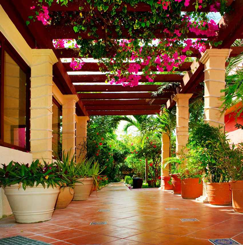 A bright and colorful walkway with many flowers and plants.