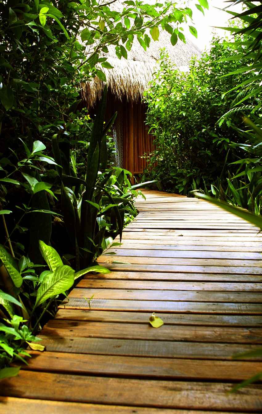 An extensive jungle trail covered with wooden planks.