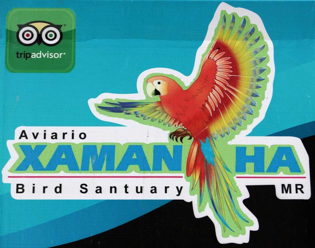 The Xaman-Ha bird sanctuary in Playacar.