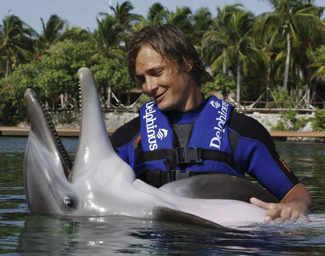 A man rubbing the belly of a dolphin.