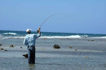 A man fly fishing near the rocky shore.