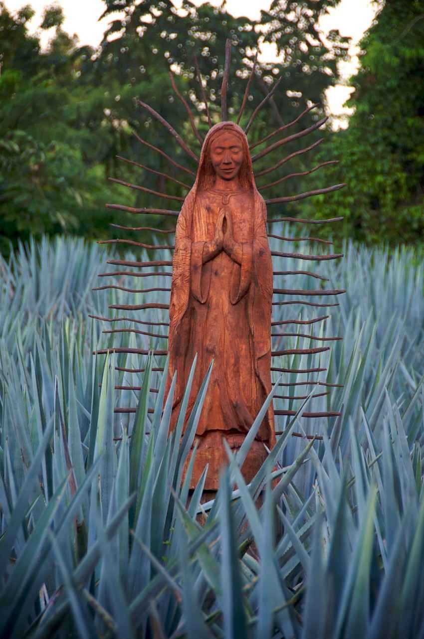 A Virgin Mary statue that can be seen in the jungle near Playa Del Carmen.