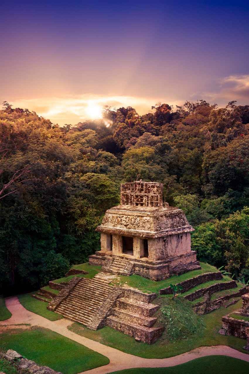 A Mayan pyramid at sunset in the jungle.