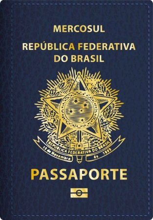 Graphic of a Brazilian passport.