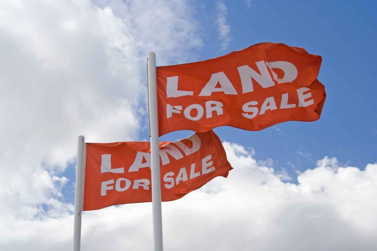 Several land for sale flags waving in the wind.