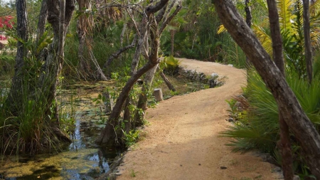 A walkway and bicycle trail that runs through the Playa Del Carmen jungle and swamps.