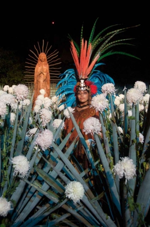 Several Mayan women wearing traditional Mayan clothing near some flowers.