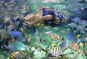 A couple is snorkeling at Xel-Ha natural aquarium.