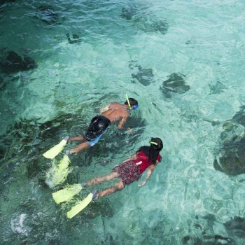 A man and a woman are snorkeling above crystal clear blue water near Playa Del Carmen.