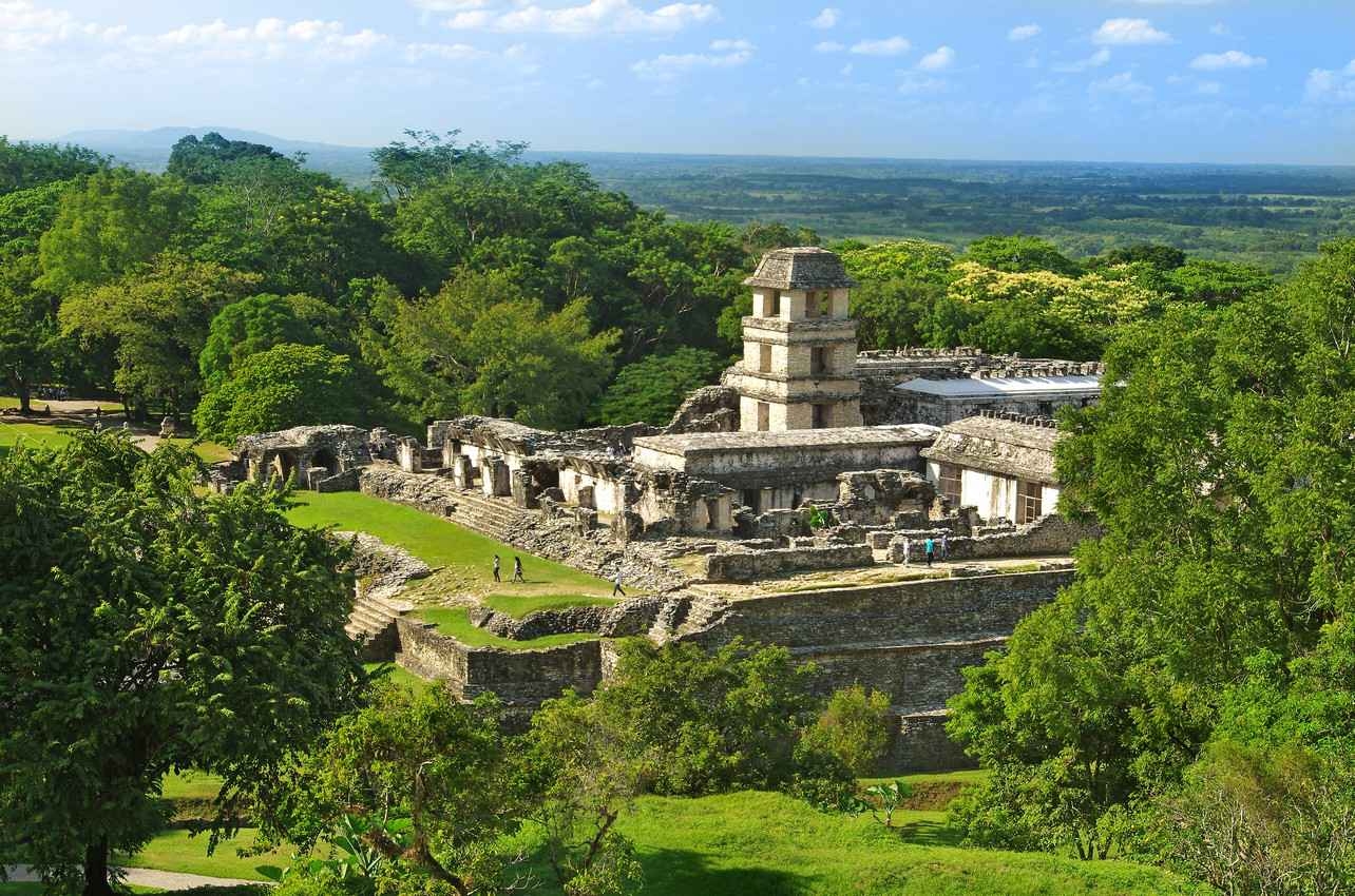 Mayan ruins in the jungle.