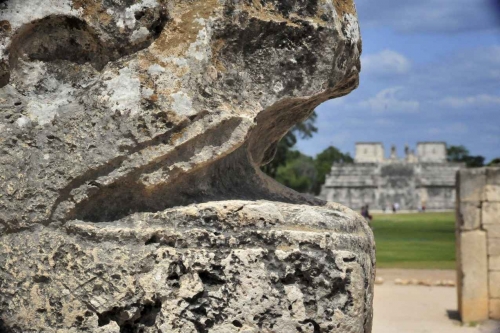 A snake head statue at the foot of a pyramid in the Riviera Maya.