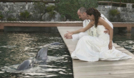 A recently married bride and groom playing with dolphins in the Riviera Maya.