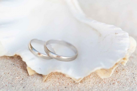 Two wedding rings resting in a seashell on the beach.
