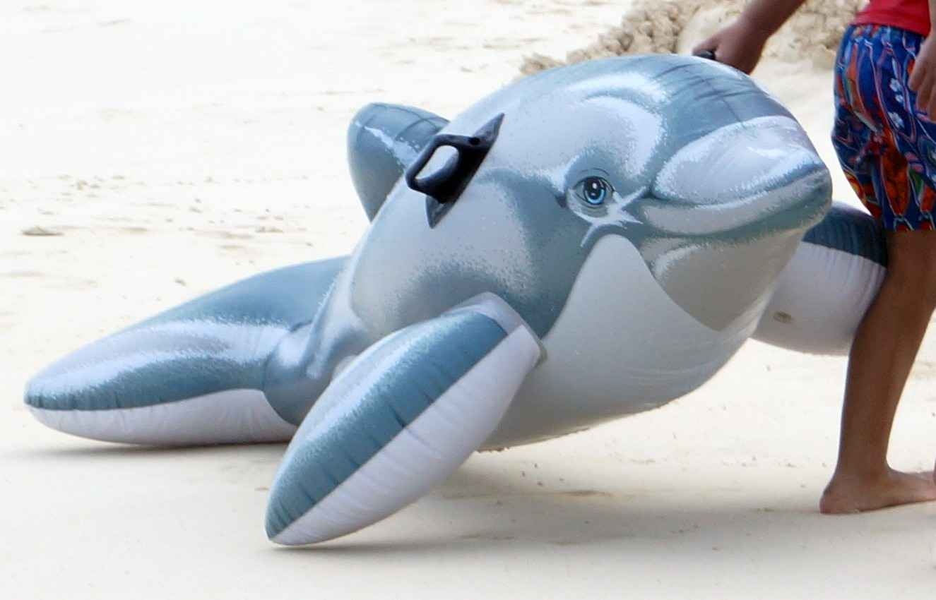 A dolphin-shaped floating device on the beach in Playa Del Carmen.