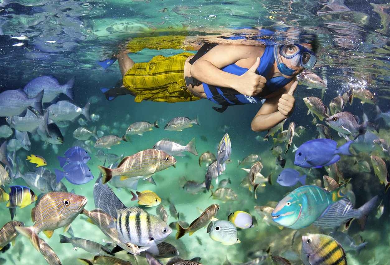 A man snorkeling underwater and surrounded by lots of fish.